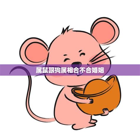 鼠跟狗合嗎|生肖属鼠和属狗的合不合 相合配对指数